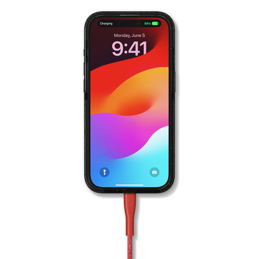 CASETiFY Powerthru USB-C to USB-C Cable (1m/3.3ft) - Meter - Cherry Red