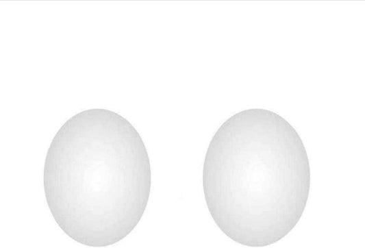 WESAPPINC 2pcs/Set Replacement Touchpad Bottom Rubber Feet for Magic Trackpad A1339 Bottom Case Kit