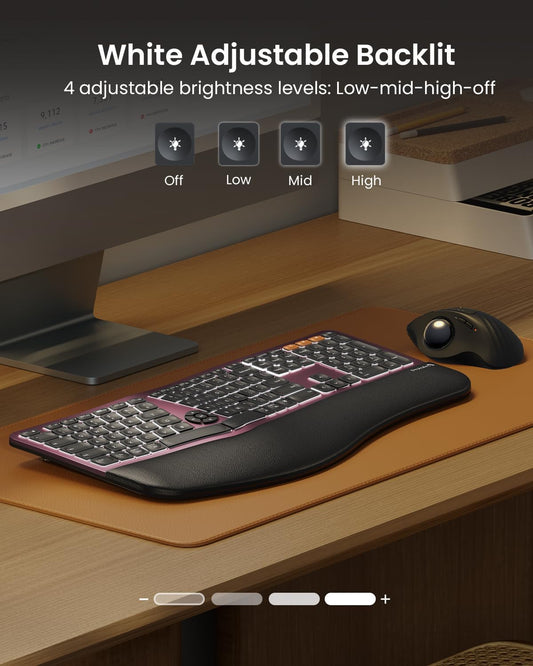 ProtoArc Backlit Bluetooth Ergonomic Keyboard, EK01 Plus Full Size Wireless Split Keyboard with Dual Bluetooth and USB, Cushioned Wrist Rest, Rechargeable, Compatible with Windows/Mac, Wine Red