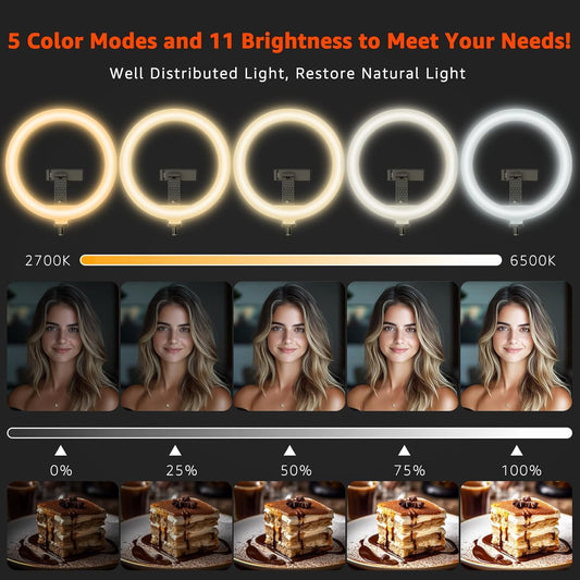 10" LED Ring Light with Overhead Phone Stand, CRI≥95 1200lm Dimmable Lighting, Adjustable Metal Arm with Remote & Phone Holder, for Streaming, Makeup, Zoom Calls, Photography