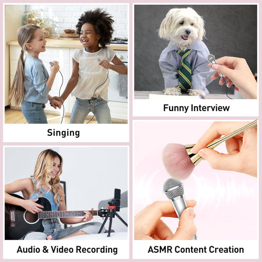 2PCS Mini Microphone for iPhone iPad Small ASMR Tiny Microphone for Voice Video Recording Singing, Vlogging, YouTube Two Mics Rose Golden and Black