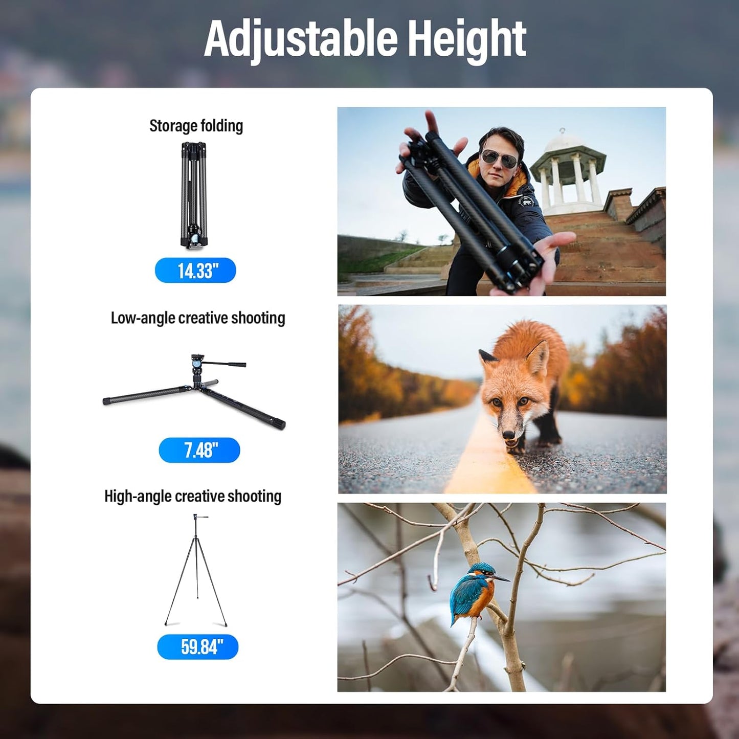 SIRUI Carbon Fiber Tripod Lightweight 2lbs with Panoramic Fluid Head, 59.8” Compact Camera Tripod Quick Release Leg Setup, Reversible Center Column, Reverse Folding Legs, Max Load 11lbs - Traveler X