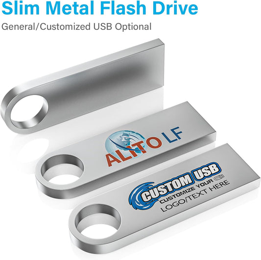 ABLAZE Custom Flash Drive 16GB 10 Pack, Personalized USB with Your Logo Metal Thumb Drives USB 2.0 Memory Stick Pendrive (Sliver)