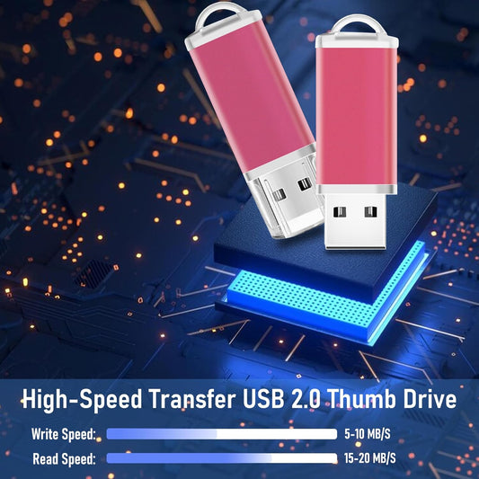 Thumb Drives 2GB USB Flash Drive 1 Pack Zip Drive USB 2.0 Jump Drive Memory Stick Pendrrive with Lanyards (Pink)