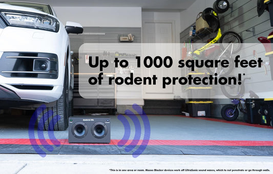 1000x Powerful Plug-in Ultrasonic Mouse and Rodent Deterrent for Buildings, Garages, Attics and More. Works with All Rodents. Ultrasonic Rodent Repeller, Band