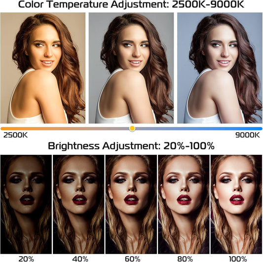 ULANZI Smartphone Video Rig with Light, U-Rig Light Cell Phone Handheld Stabilizer with Ring Light 2500K-9000K CRI 90+ for Filmmaking Live Steam YouTube Video Recording, with 5000mAh Build-in Battery