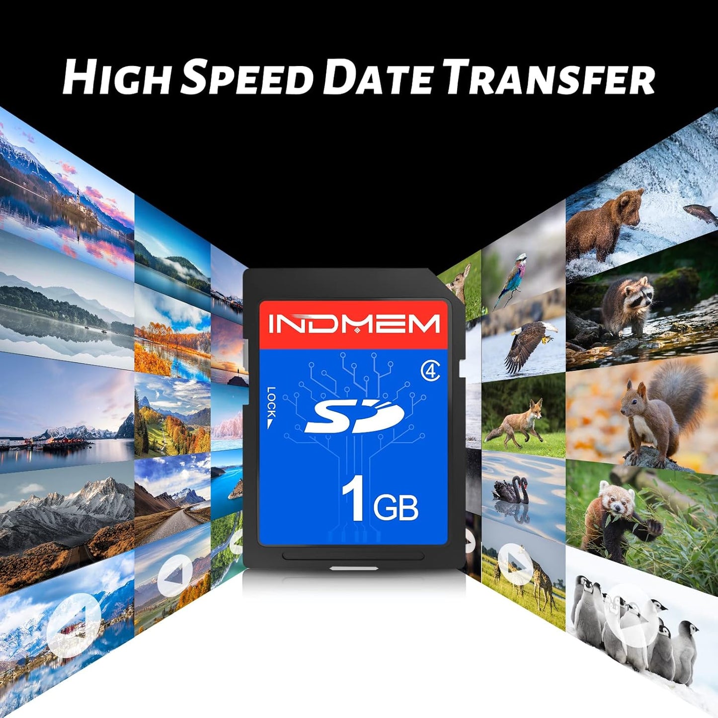 INDMEM SD Card 1GB, 10 Packs Class 4 1GB Flash Memory Card MLC Standard Secure Digital Cards Camera Card