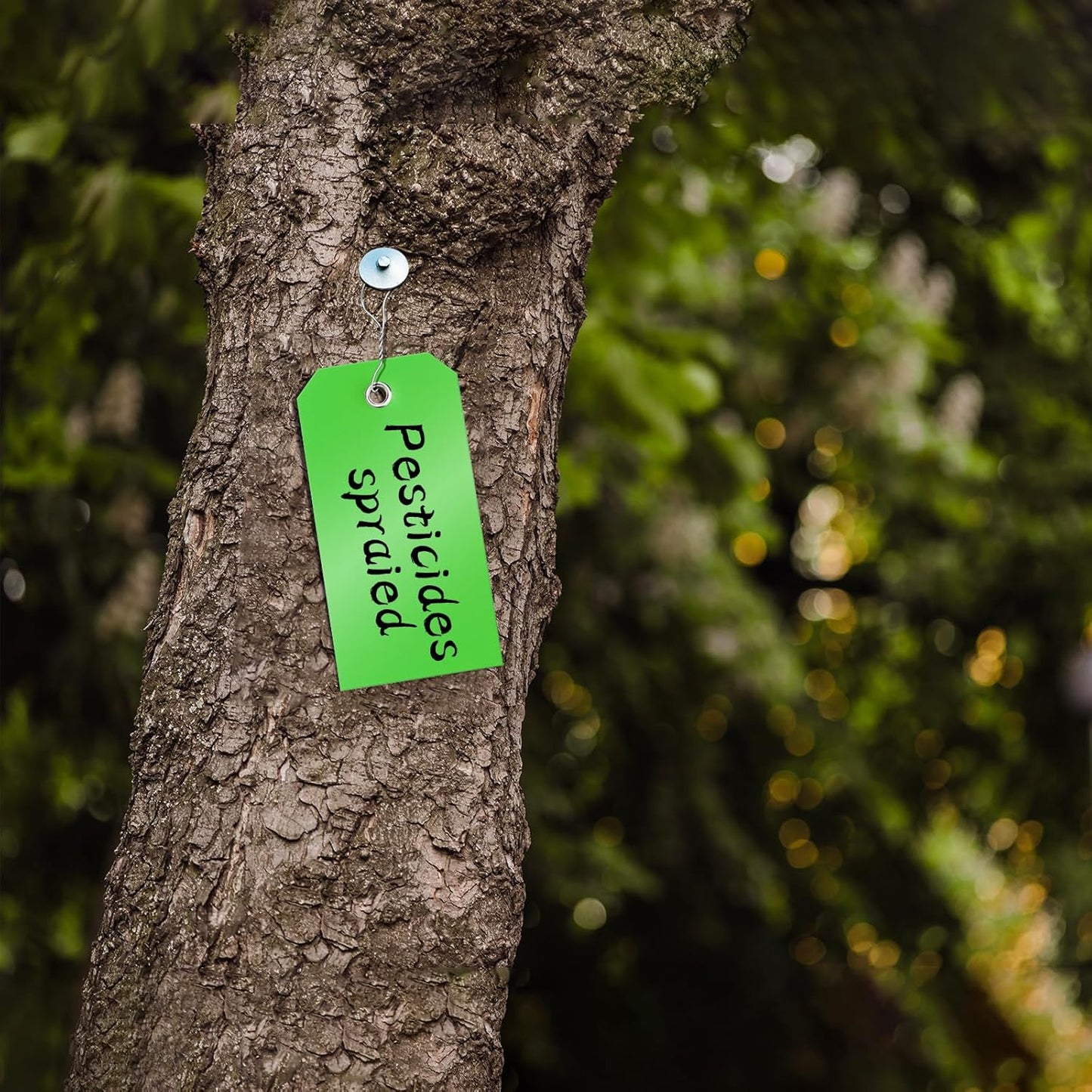 100 Pcs Green Tags with Wires Waterproof Writable Hang Tags with String Attached Heavy Duty Shipping Moving Tags for Luggage Parts Machines(Green, 4 3/4" x 2 3/8")