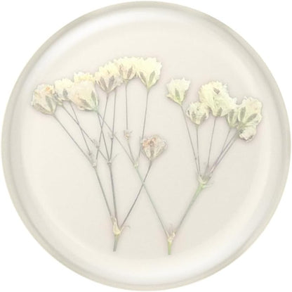 PopSockets: Phone Grip with Expanding Kickstand, Adhesive Grip - Pressed Flower Baby's Breath