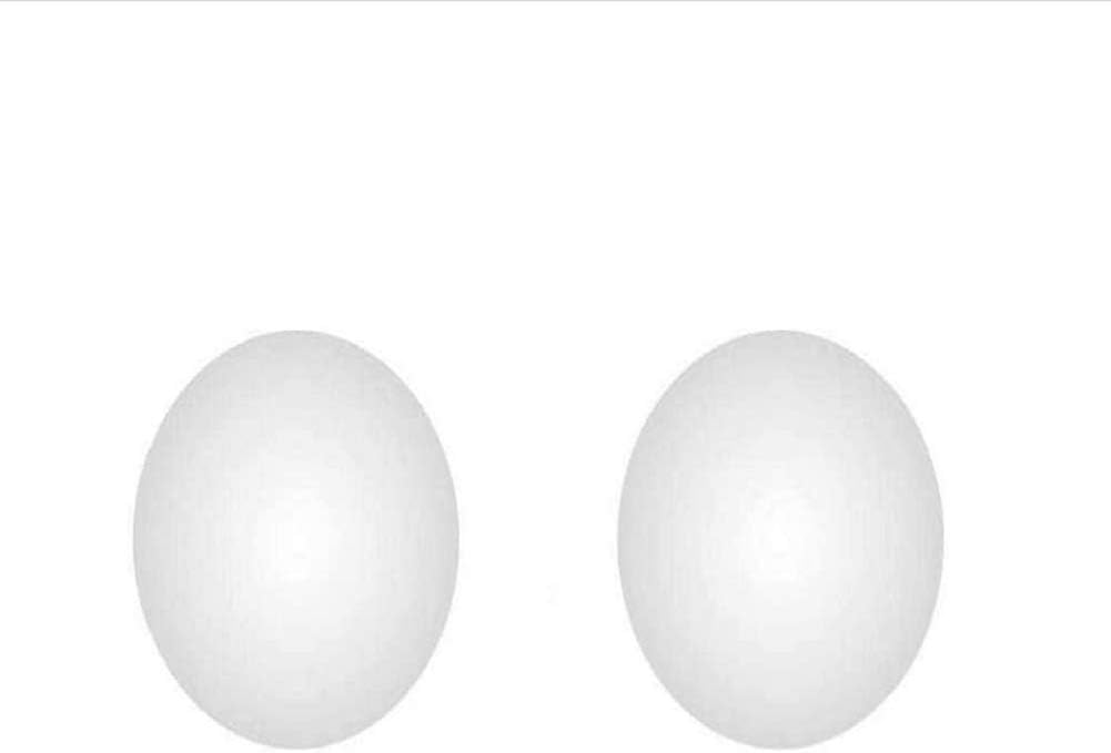 WESAPPINC 2pcs/Set Replacement Touchpad Bottom Rubber Feet for Magic Trackpad A1339 Bottom Case Kit