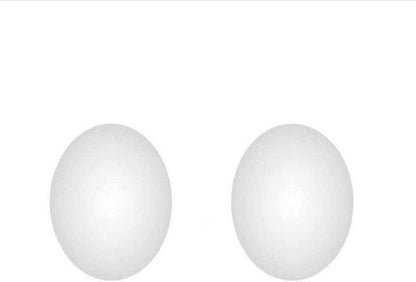 WESAPPINC 2pcs/Set Replacement Touchpad Bottom Rubber Feet for Magic Trackpad A1339 Bottom Case Kit