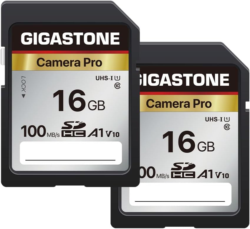 [5-Yrs Free Data Recovery] GIGASTONE 16GB SD Card 2-Pack, Camera Pro, A1 V10 SDHC Memory Card Compatible with SPYPOINT TACTACAM Trail Camera, with 2 Mini Cases.