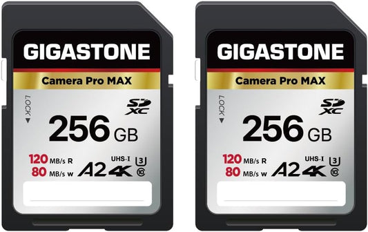 [5-Yrs Free Data Recovery] GIGASTONE 256GB 2-Pack SD Card, 4K Camera Pro MAX, A2 4K SDXC Memory Card High Speed 4K UHD Video Compatible with Canon Kodak Digital Camera, with 2 Mini case