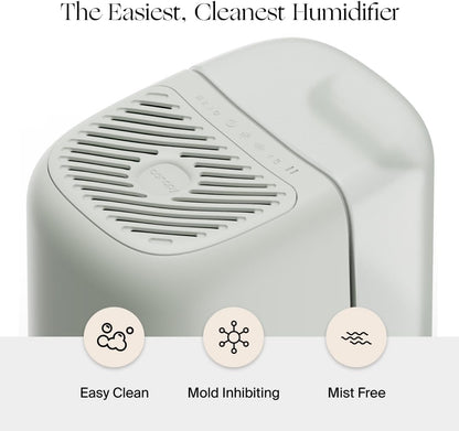 Canopy Bedside Humidifier 2.0, Moonstruck, 36 HR Run Time, 2.5L Capacity - Reading Light & White Noise - Alleviate Symptoms of Allergies, Cold, Dry Skin - Humidifier, Filter, Power Cord & Adapter