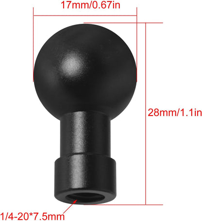 2PCS Ball Head to 1/4 Female Photo Bracket Conversion Accessories Aluminium Alloy 17mm Direct Broadcast Bracket Accessories Mobile Phone Mounting Bracket for Camera Mobile Phone GPS