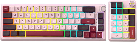 K68 Pro Gaming Keyboard, Layout Compact Wireless Mechanical Keyboard, Gasket Hot Swappable Custom BT 5.0/2.4G/USB-C Office Keyboard for Windows Mac (Purple-White, Eternity Tactile Switch)