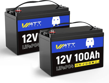 2-Pack 12V 100Ah LiFePO4 Battery BCI Group 24-15000 Cycles, Built-in 100A BMS, Low-Temp Protection for RV, Solar System, Marine, Golf Cart, Trolling Motor, Home Energy Storage, Off-Grid