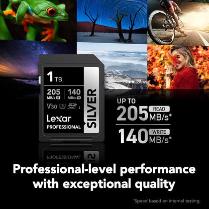 Lexar 1TB Professional Silver SD Card, UHS-I, C10, U3, V30, 4K, Up to 205/140 MB/s SDXC Memory Card, for Professional Photographer, Videographer, Enthusiast (LSDSILV001T-BNNNU)