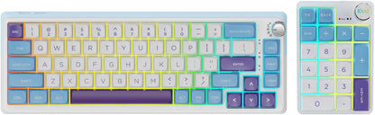 K68 Pro Gaming Keyboard, Layout Compact Wireless Mechanical Keyboard, Gasket Hot Swappable Custom BT 5.0/2.4G/USB-C Office Keyboard for Windows Mac (Blue-White, Eternity Tactile Switch)