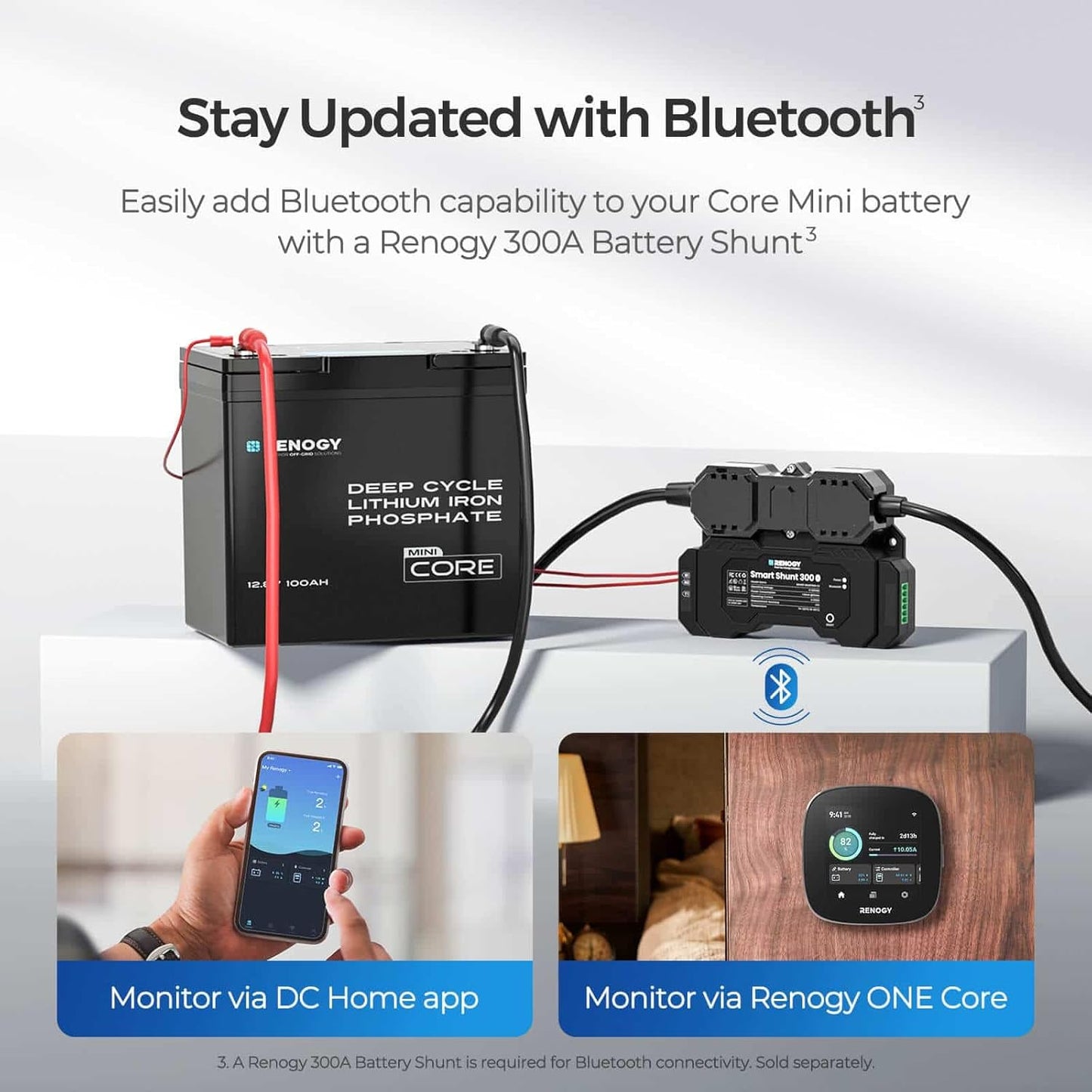 Renogy 12V 100Ah LiFePO4 Lithium Battery Mini Size, 100A BMS for Ultimate Safety, Deep Cycle w/Remote Monitoring Compatibility, Backup Power for RVs, Cabins, Marine, and Off-Grid Systems - Core Series