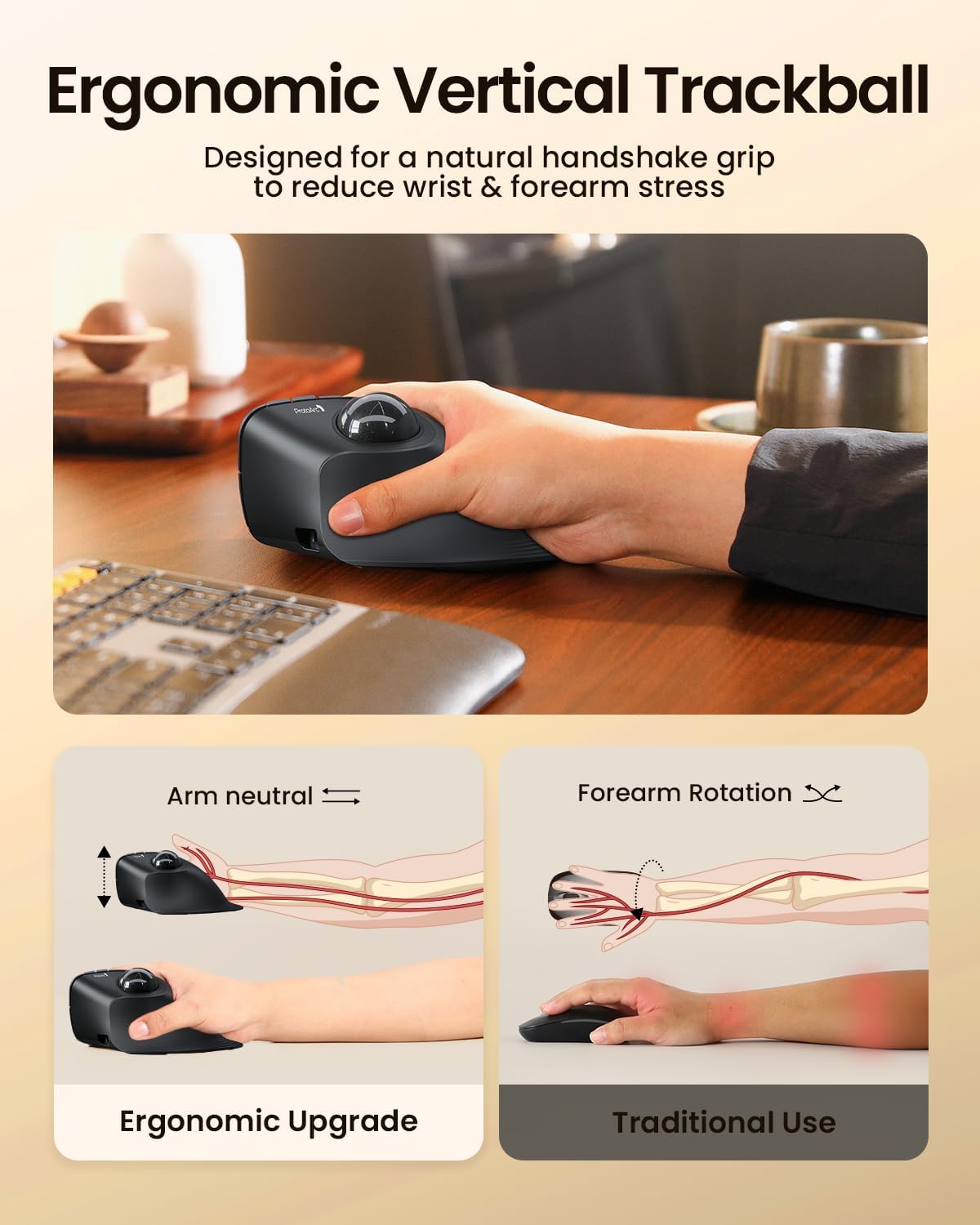 ProtoArc Vertical Wireless Trackball Mouse, EM05 NL Bluetooth Ergonomic Rollerball Mouse Rechargeable Computer Laptop Thumb Mice, 3 Device Connection, Compatible with iPad, Mac, Windows, PC-Gray