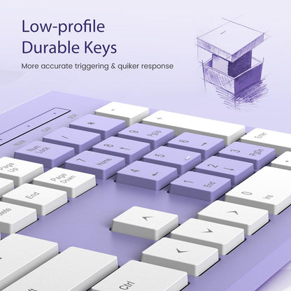 Computer Keyboard Wired, Plug Play USB Keyboard, Low Profile Chiclet Keys, Large Number Pad, Caps Indicators, Foldable Stands, Spill-Resistant, Anti-Wear Letters for PC Laptop (Purple, 1-Pack)