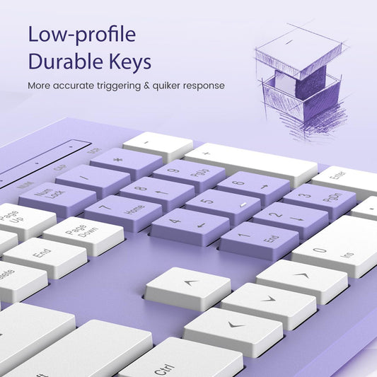 Computer Keyboard Wired, Plug Play USB Keyboard, Low Profile Chiclet Keys, Large Number Pad, Caps Indicators, Foldable Stands, Spill-Resistant, Anti-Wear Letters for PC Laptop (Purple, 1-Pack)