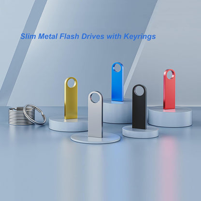 2GB USB Flash Drive 2 Pack with Keychains, Wooolken Sleek Metal USB 2.0 Thumb Drives Memory Stick for PC Laptop Computer