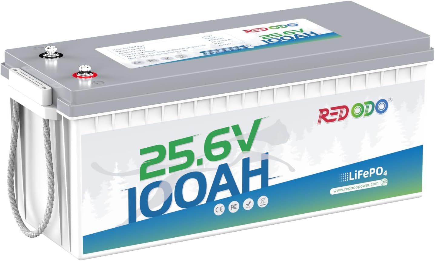 Redodo 24V 100Ah LiFePO4 Lithium Battery, Max. 2560W Power Output, Built in 100A BMS, 4000-15000 Deep Cycles & 10-Year Lifetime, Perfect for RV, Marine, Trolling Motor, Solar Off-Grid System
