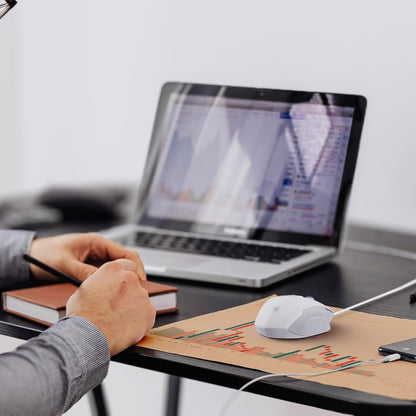 Wired Mouse, 4 Levels Adjustable DPI, 6 Programmable Buttons, Ergonomic Computer Wired Mouse for PC Laptop Computer for Working and Gaming - Plug & Play (White)