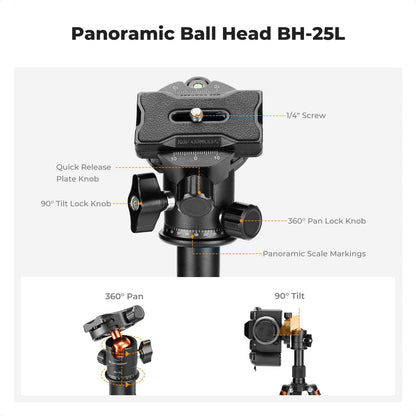 K&F CONCEPT Mini Desktop Tripod, 20.5''/ 52cm Compact Desk Tripod with 360 Degree Ball Head, 1/4 inch Quick Release Plate for Camera Video Camcorder, Load up to 13.22 lbs/6 KG