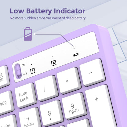 Wireless Keyboard and Mouse Combo, Lovaky 2.4G Full-Sized Ergonomic Keyboard Mouse, 3 DPI Adjustable Cordless USB Keyboard and Mouse, Quiet Click for Computer/Laptop/Windows/Mac (1 Pack, Purple)