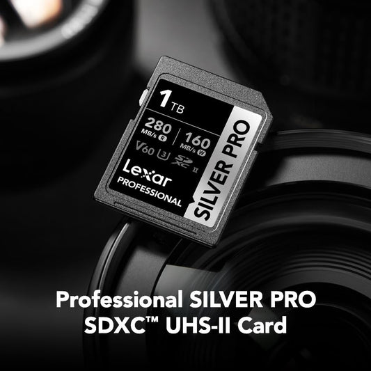 Lexar 1TB Professional Silver PRO SD Card, UHS-II, C10, U3, V60, Full HD, 4K, Up To 280MB/s Read SDXC Memory Card, For Professional Photographer, Videographer, Enthusiast (LSDSIPR001T-BNNNG)