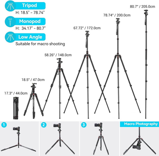 SmallRig CT-20 Camera Tripod, 78.7" Foldable Aluminum Tripod & Monopod, 360°Ball Head Detachable, Payload 33lb (200cm/78.7")