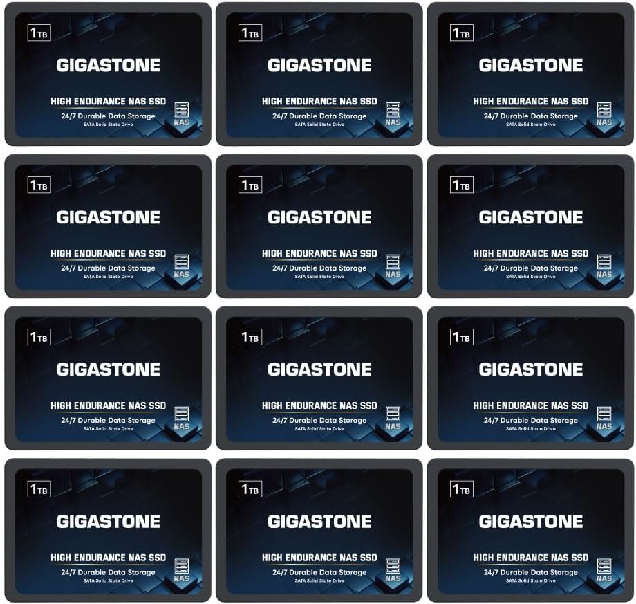 Gigastone 1TB NAS SSD Drive (12-Pack) 24/7 Durable TLC High Endurance RAID Data Storage Network Attached Storage 2.5" SATA Internal Solid State Hard Drives
