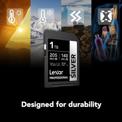 Lexar 1TB Professional Silver SD Card, UHS-I, C10, U3, V30, 4K, Up to 205/140 MB/s SDXC Memory Card, for Professional Photographer, Videographer, Enthusiast (LSDSILV001T-BNNNU)