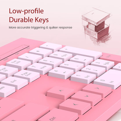 Computer Keyboard Wired, Plug Play USB Keyboard, Low Profile Chiclet Keys, Large Number Pad, Caps Indicators, Foldable Stands, Spill-Resistant, Anti-Wear Letters for PC Laptop (Rose Pink, 1-Pack)