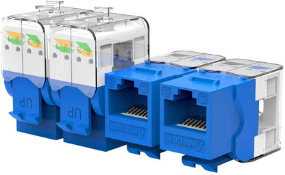 AMPCOM CAT6 Keystone Jack Tool-Less RJ45 UTP, No Punch-Down Tool Required Module Coupler -12-Pack Blue