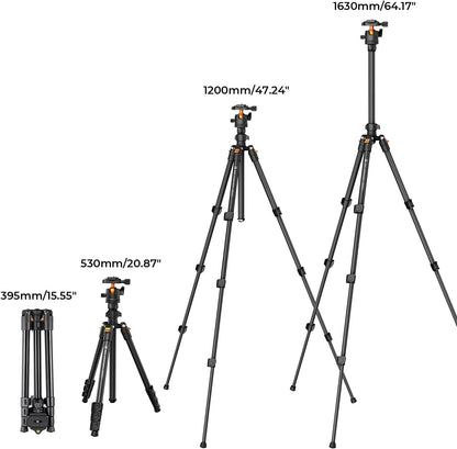 K&F CONCEPT 64 inch/163 cm Camera Tripod,Lightweight Travel Outdoor DSLR Tripods with 360 Degree Ball Head Load Capacity 17.6 lbs/8 kg,Cellphone Clip for Smartphone Live Streaming Vlog O234A1+BH-36