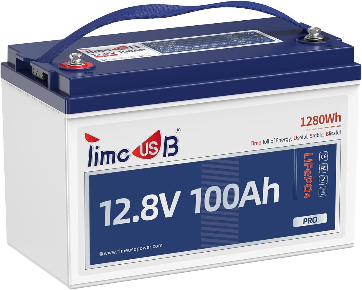 12V 100Ah Pro LiFePO4 Battery, 12 volt Lithium Battery with 100A BMS, Grade A Battery Cells, Up to 10 Years Lifespan, Perfect for RV, Trolling Motor, Off-grid Applications, Group 31