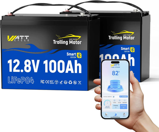 12V 100Ah TM LiFePO4 Lithium Battery with Smart Bluetooth, Group 24, Automatically Cuts Off and Recovery, 120A BMS, IP67, Deep Cycle Perfect for Trolling Motors Marine Boat RVs(2 Pack)