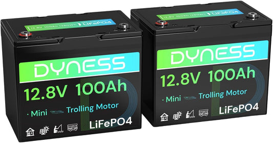 12V 100Ah Mini LiFePO4 Battery 2 Pack Group 24, 12 Volt Deep Cycle Lithium Battery with 100A BMS, Low-Temp Protection & 10 Years Lifespan for RV, Boat, Trolling Motor, Solar Off-Grid, Golf Cart