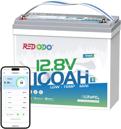 Redodo 12V 100Ah Smart Mini Bluetooth LiFePO4 Battery, Smallest Lithium Battery，Max 1280Wh, 10-Year Lifespan with Up to 15000 Deep Cycles, Upgraded 100A BMS for RV, Marine, Solar, Camping