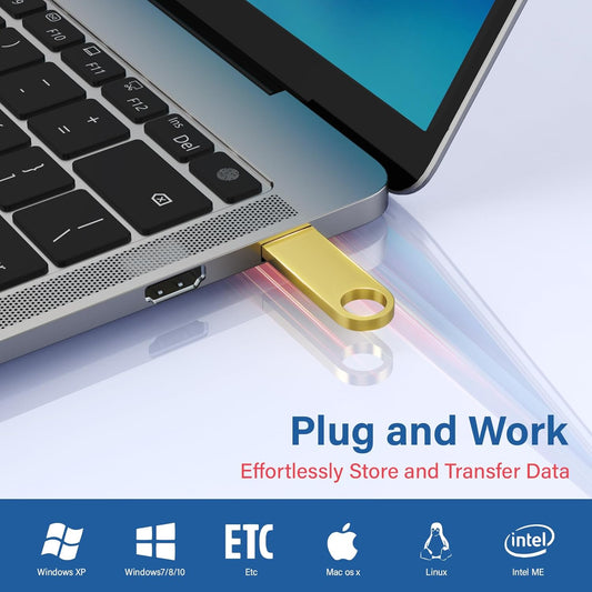 8GB USB Flash Drive 2 Pack with Keychains, Wooolken Sleek Metal USB 2.0 Thumb Drives Memory Stick for PC Laptop Computer