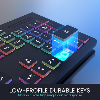 Wired Backlit Keyboard, Lighted Computer Keyboard with 8° Adjustable Stand, Ergonomic Design, Spill-Proof Keys, 5ft Cable, Compatible with Windows & Mac