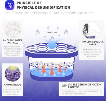 Vacplus Moisture Absorbers 6 Pack, 10.5 Oz Portable Humidity Absorber Boxes for Your Bathroom, Closet & Car, Dehumidifier with Lavender Fragrance, Purple