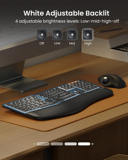 ProtoArc Backlit Bluetooth Ergonomic Keyboard, EK01 Plus Full Size Wireless Split Keyboard with Dual Bluetooth and USB, Cushioned Wrist Rest, Rechargeable, Compatible with Windows/Mac/Android, Blue