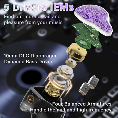 BASN Bmaster5 in Ear Monitors, 1DLC Diaphragm+4BA 5 Drivers IEM Earphones with Silver-Plated OFC Cable, Noise Isolation Wired Earbuds for Musicians (Purple)
