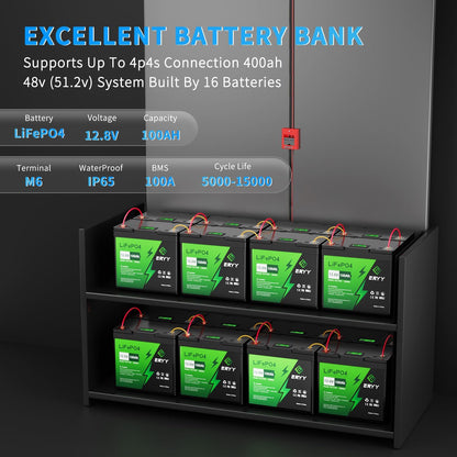 12V 100Ah LiFePO4 Battery - 2 Pack, Rechargeable 12v Lithium Batteries with 100A BMS, VoltMeter, 5000+ Deep Cycle 1.28kWh Higher Energy Density Battery for RV, Boat, Van, TrollingMotor(Mini Size)
