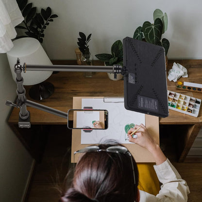 PICTRON LS11 Camera Mount Desk Stand with Auxiliary Holding Arm, Flexible Overhead Camera Webcam Table C-Clamp Multi Stand for Photography Videography Live Stream